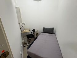 The Blossomvale (D21), Condominium #598787321